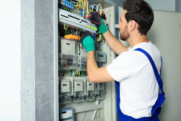 Best 24-Hour Electrician  in Cass City, MI