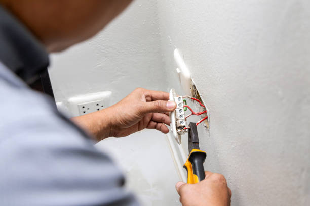 Best Affordable Electrician  in Cass City, MI